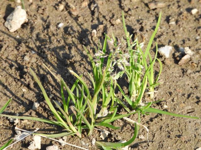 1650273781729039271.jpg 88.jpg